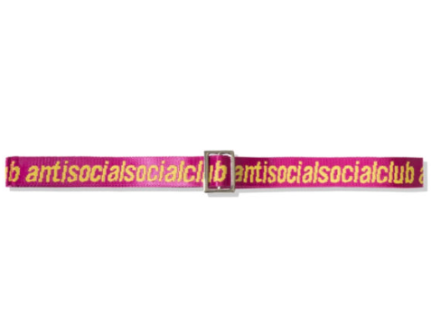 A.S.S.C 'See Right Thru Me' Pink Belt