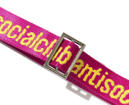 A.S.S.C 'See Right Thru Me' Pink Belt